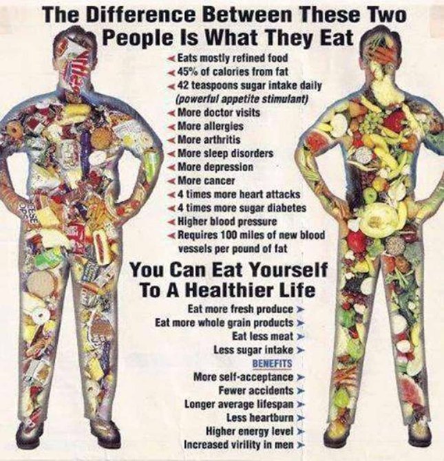 If you eat too many. Коллаж влияние определенных продуктов на организм. You are what you eat рисунок. Влияние определенных продуктов на тело человека. Влияние определенных продуктов на тело человека коллаж.